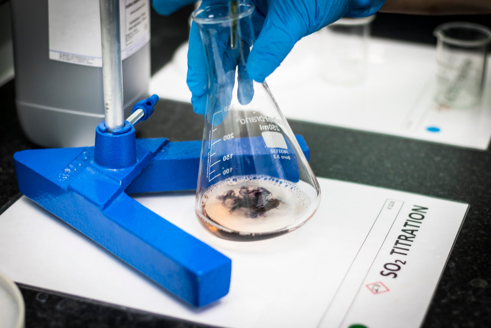 Full Lab Test – MarchesBP